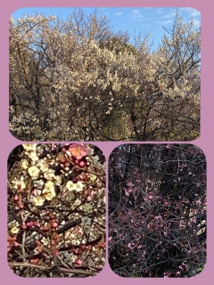 ������������