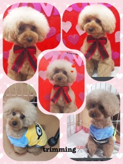 �g���~���O✂️