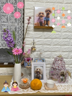 �����Ղ�