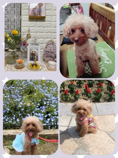 ���a�����Ȃ̂ɂ�