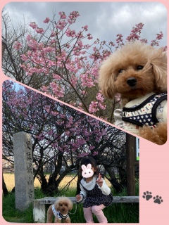 ���ǂ��R���r