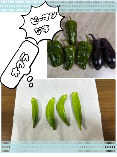 ���ƍ͔|
